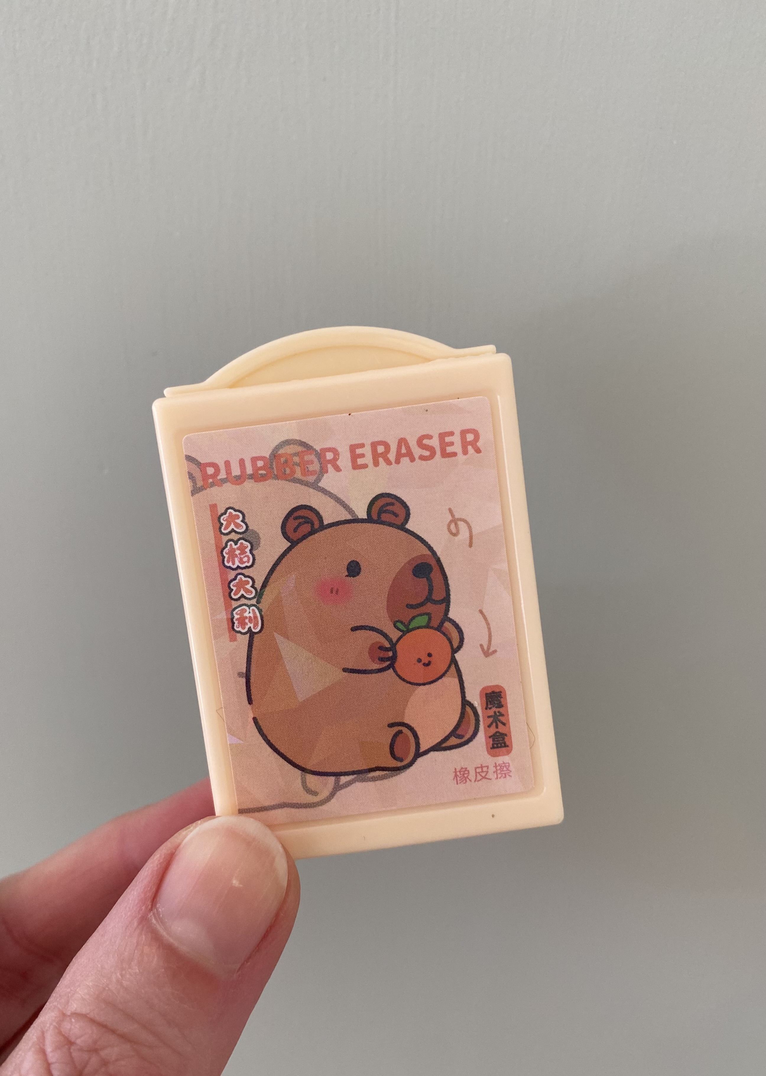 Magische Box mit Radierer gelb Capybara