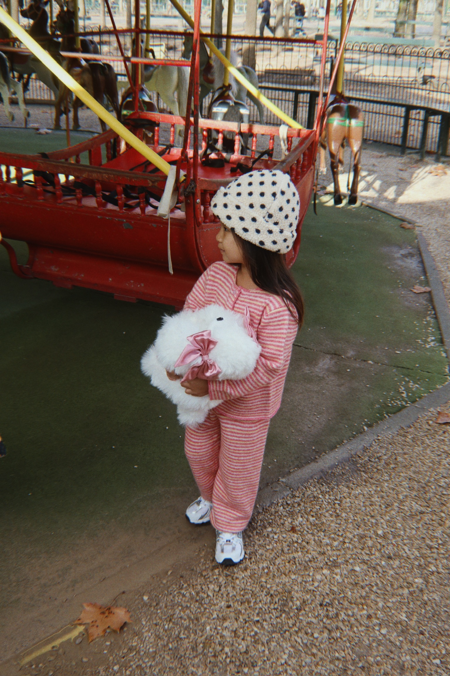 Spitz Puppy Welpe