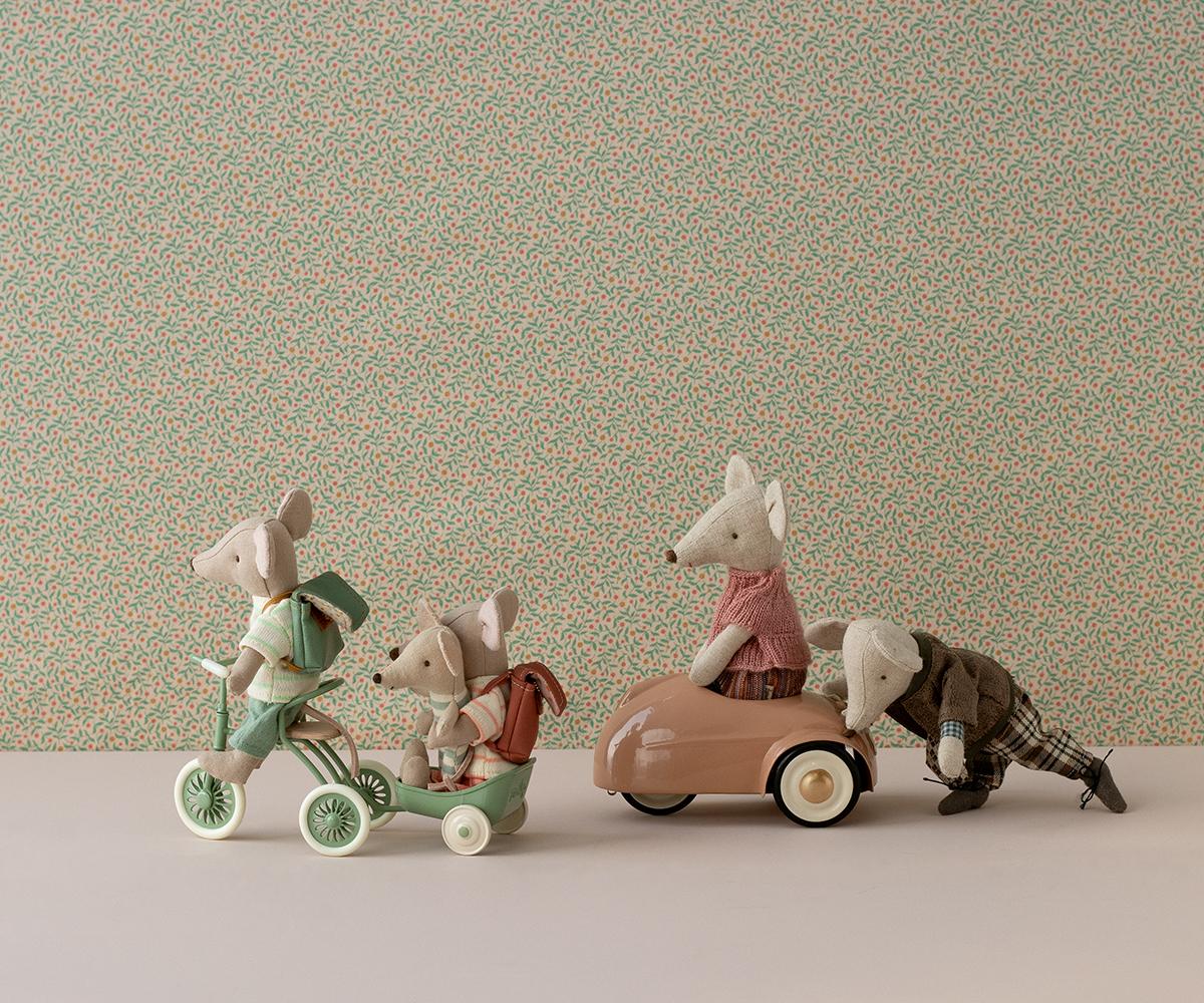 Abri à tricycle Maus türkis