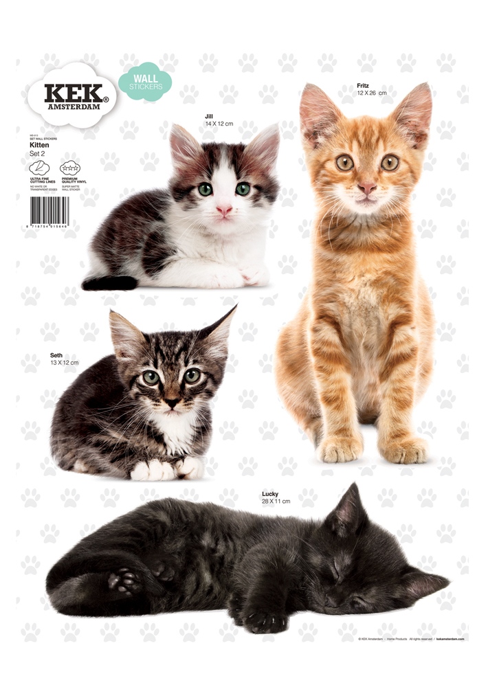 wallsticker_kittens_set_2_white Wandsticker-Set mit Kätzchen, vier Motive: schwarze Katze schlafend, rot getigerte Katze sitzend, schwarz-weißes Kätzchen liegend, grau getigertes Kätzchen sitzend. Vintage-Stil, weiße Hintergründe mit Pfotenabdruck-Muster.