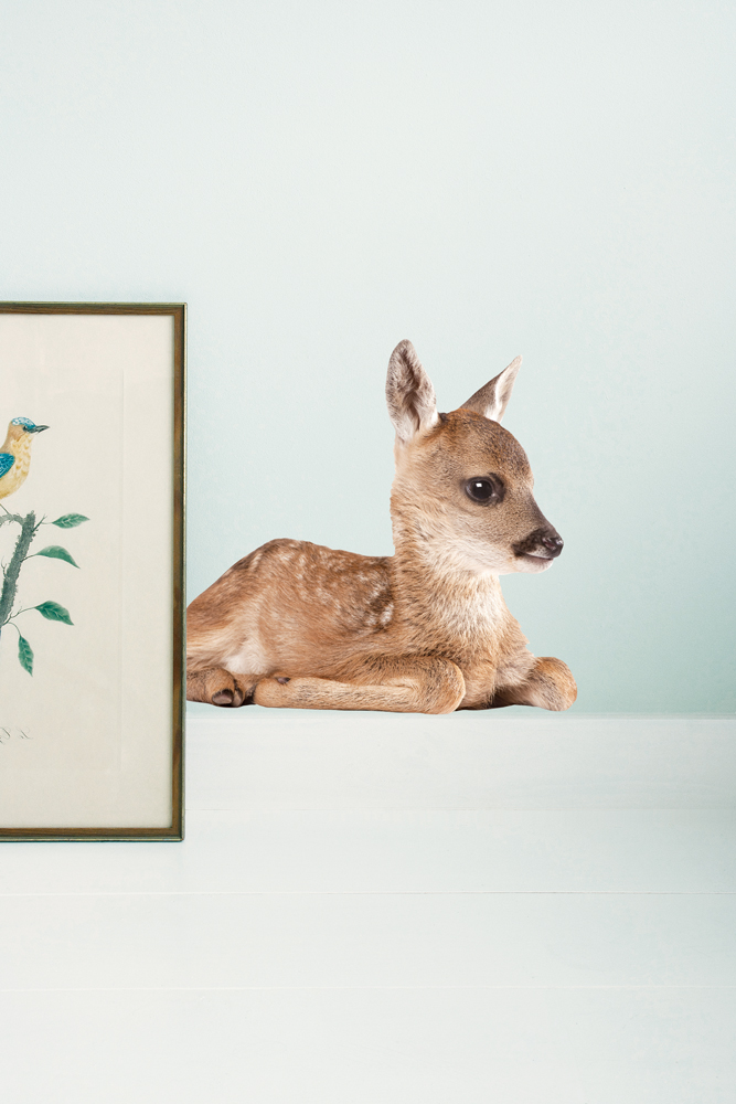 wallsticker_ff_deer_int Rehkitzfigur aus Kunststoff, braun, sitzend; rechteckiger Bilderrahmen mit Vogel und Zweigen.