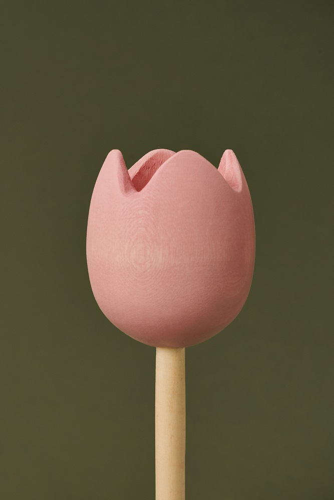200904_Raduga_Grez_campaign5292 Holztulpe, rosa Blüte, glatte Oberfläche, langer heller Stiel.