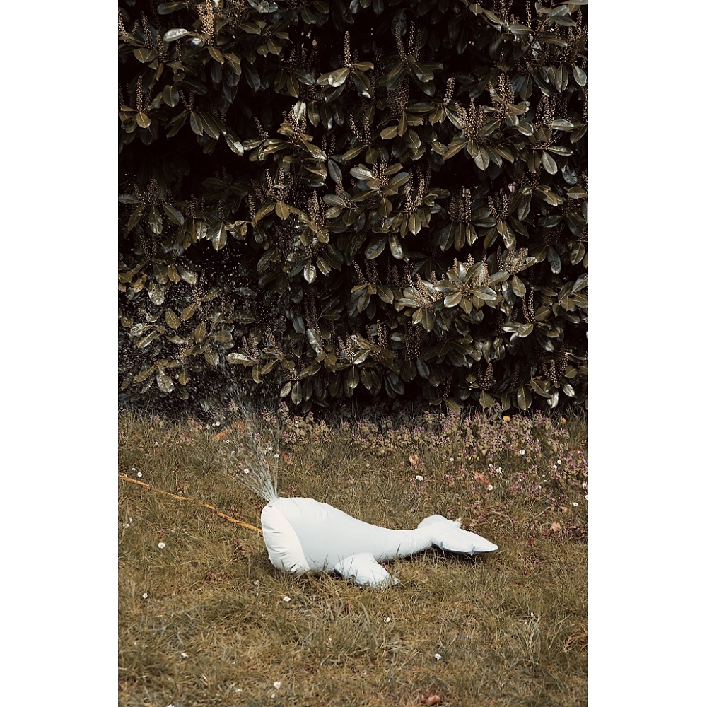 1024x1024-471f234020a0961e6df1a73bdd471dba Aufblasbare Wasserspielmatte in Form eines weißen Wals auf grünem Gras, Wasserfontäne aus Walsrücken.