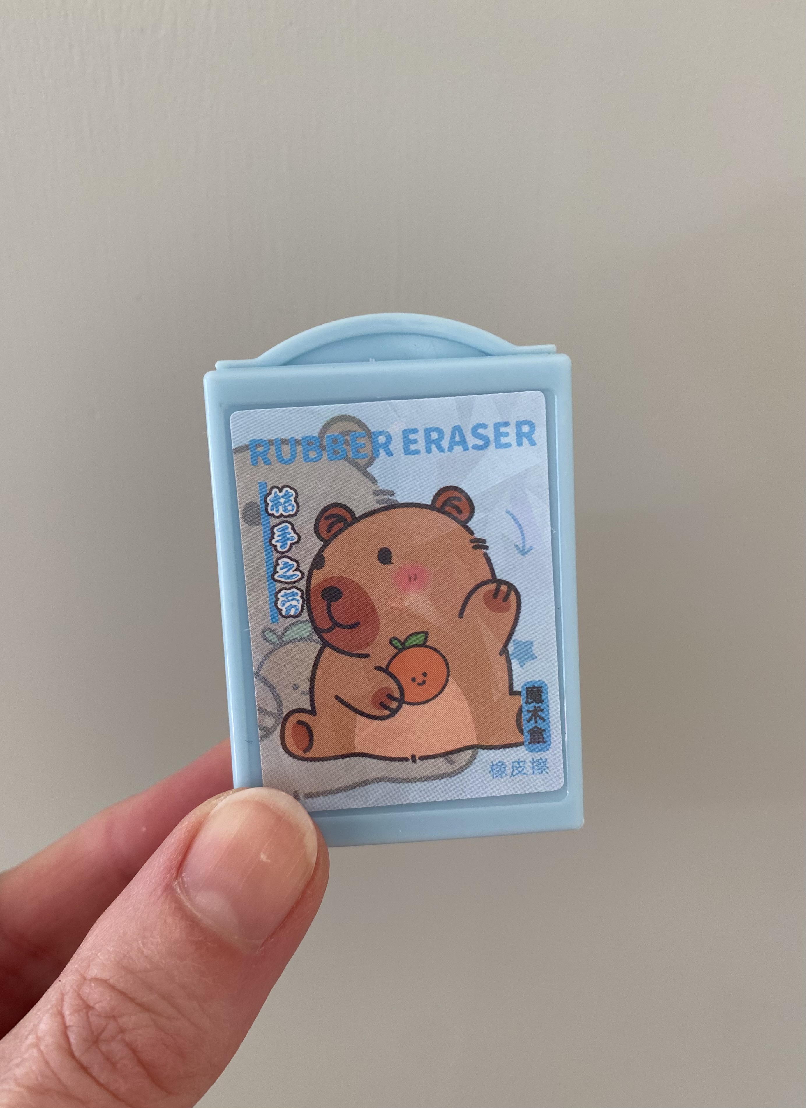 Magische Box mit Radierer blau Capybara