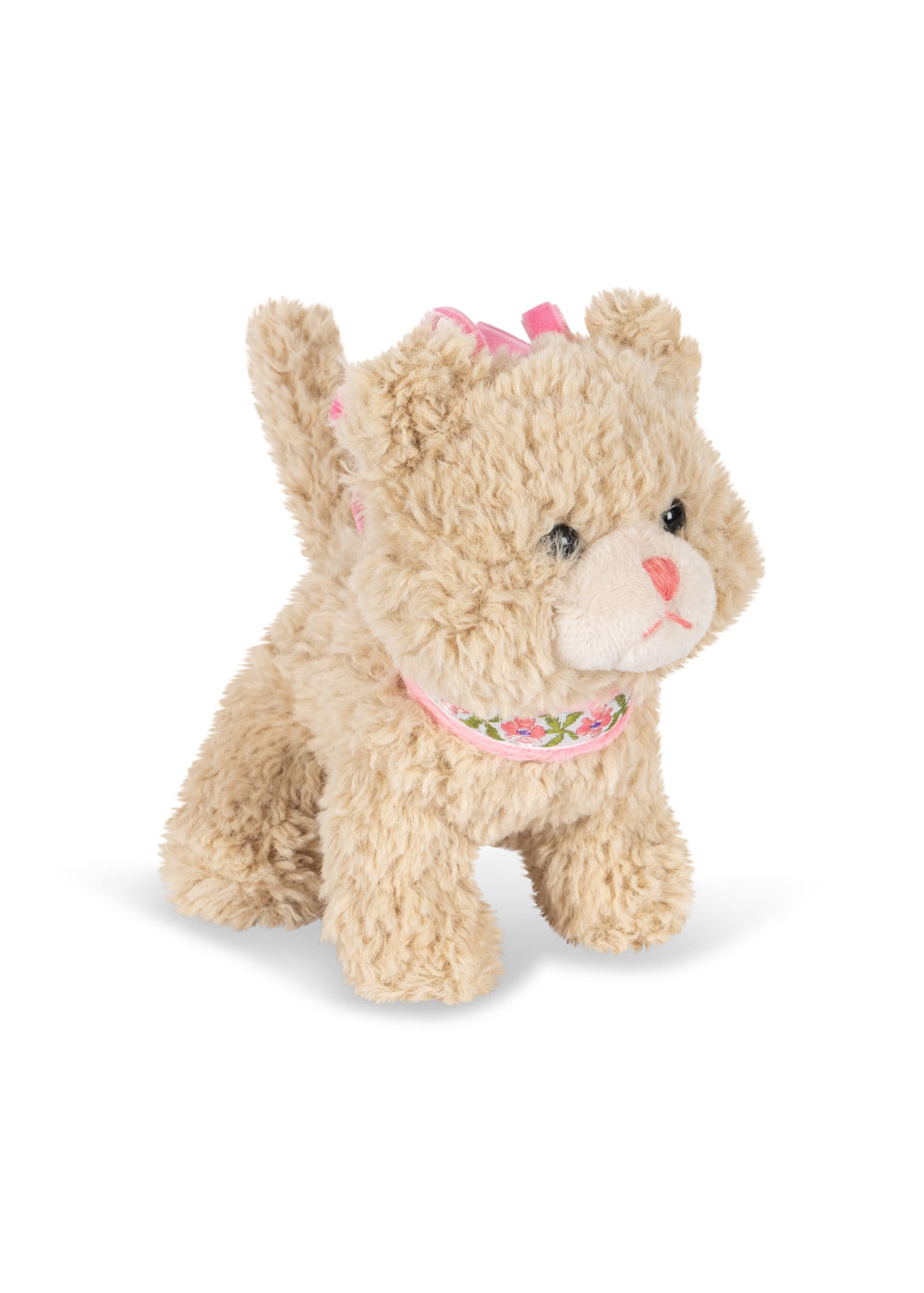 Activity Kitty Katze