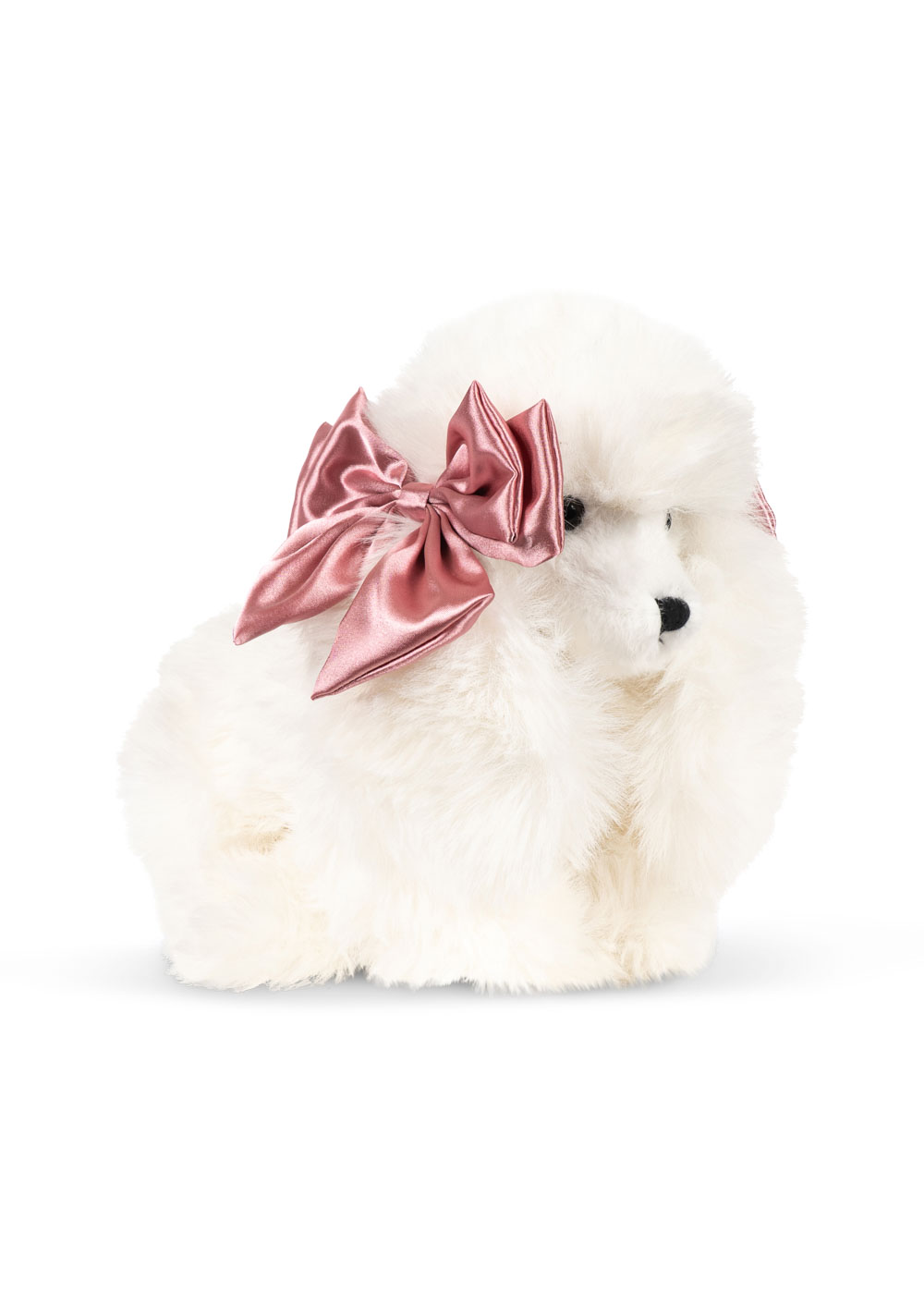 Spitz Puppy Welpe