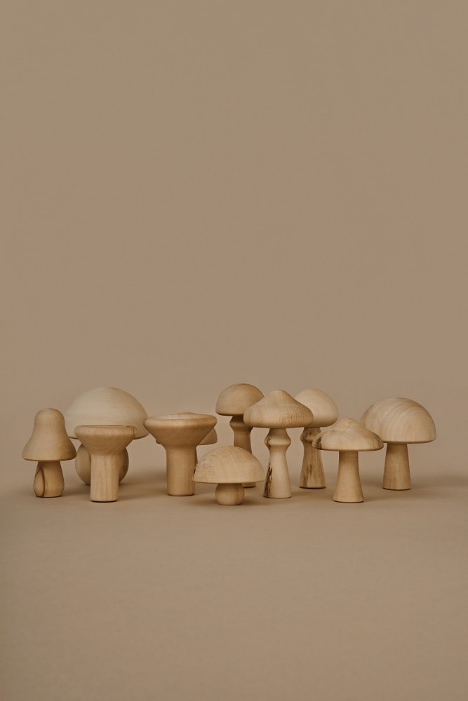 Mushrooms natur