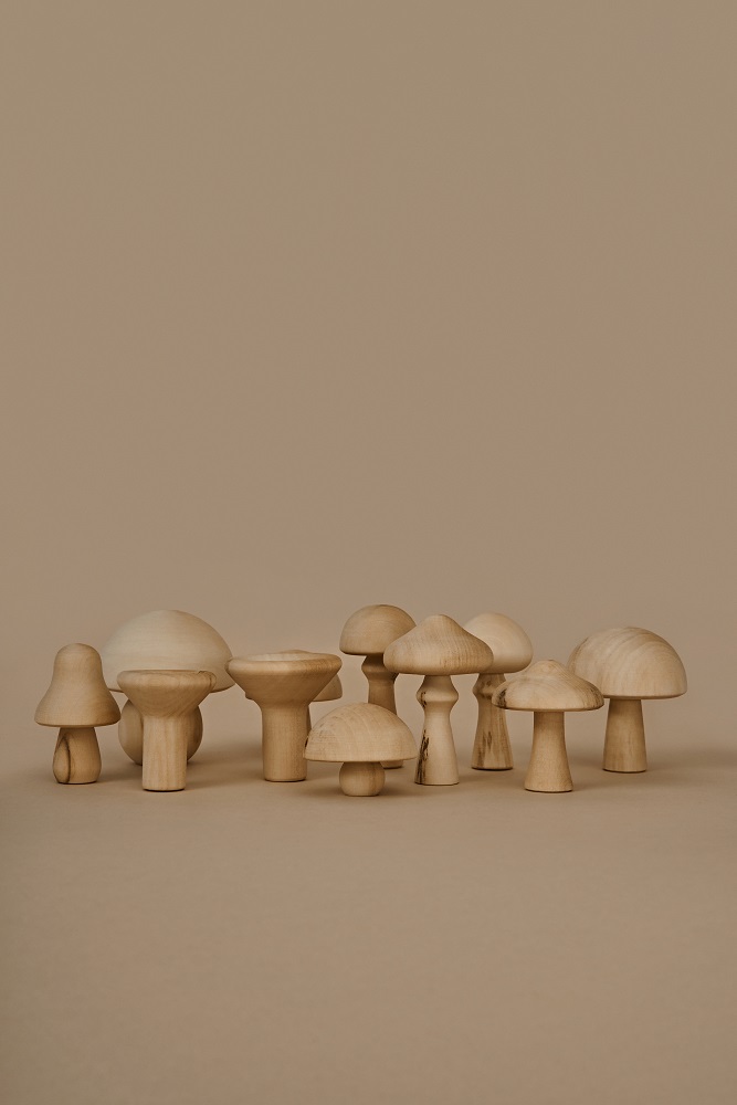 RG00252 Holzpilze, naturfarben, verschiedene Formen und Größen, minimalistisch, Dekoration.