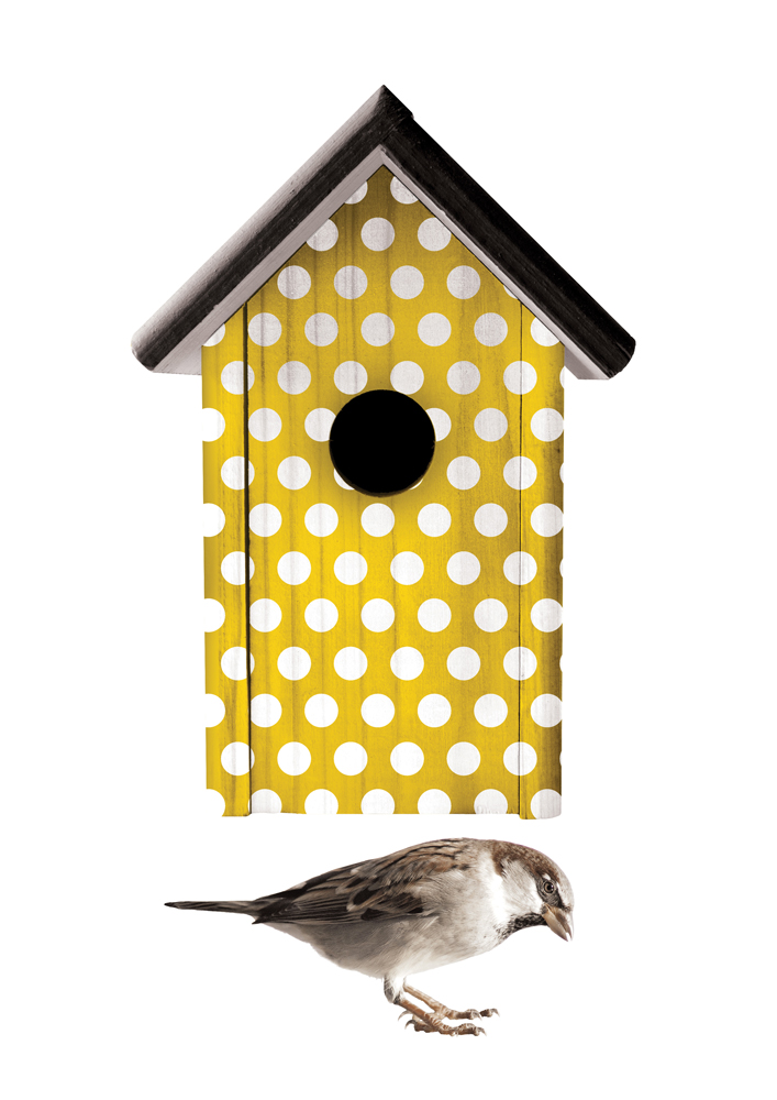 home_sweet_home_geel_white Vogelhaus, gelb-weiß gepunktet, schwarzes Dach, rundes Einflugloch; darunter ein kleiner Vogel.