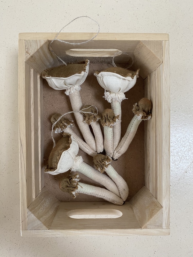 IMG_1287 Holzkiste, sechs Stoffblumen, beige und braun, handgefertigt, realistische Blütenform, gestickte Details, rustikaler Stil.