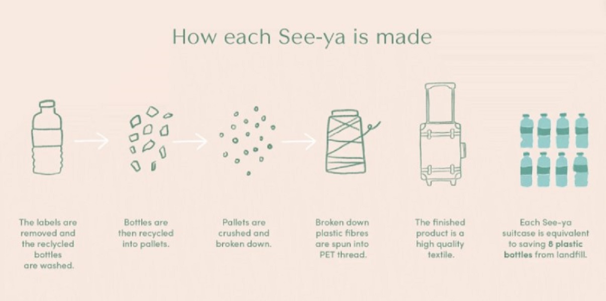 Recycle-Flaschen_olliella Recyclingprozess Diagramm; Flasche, Plastikfragmente, Granulat, Faden, Koffer; Herstellungsvorgang für Koffer aus recycelten Plastikflaschen; schlichte Zeichnungen in Grün auf beigem Hintergrund.