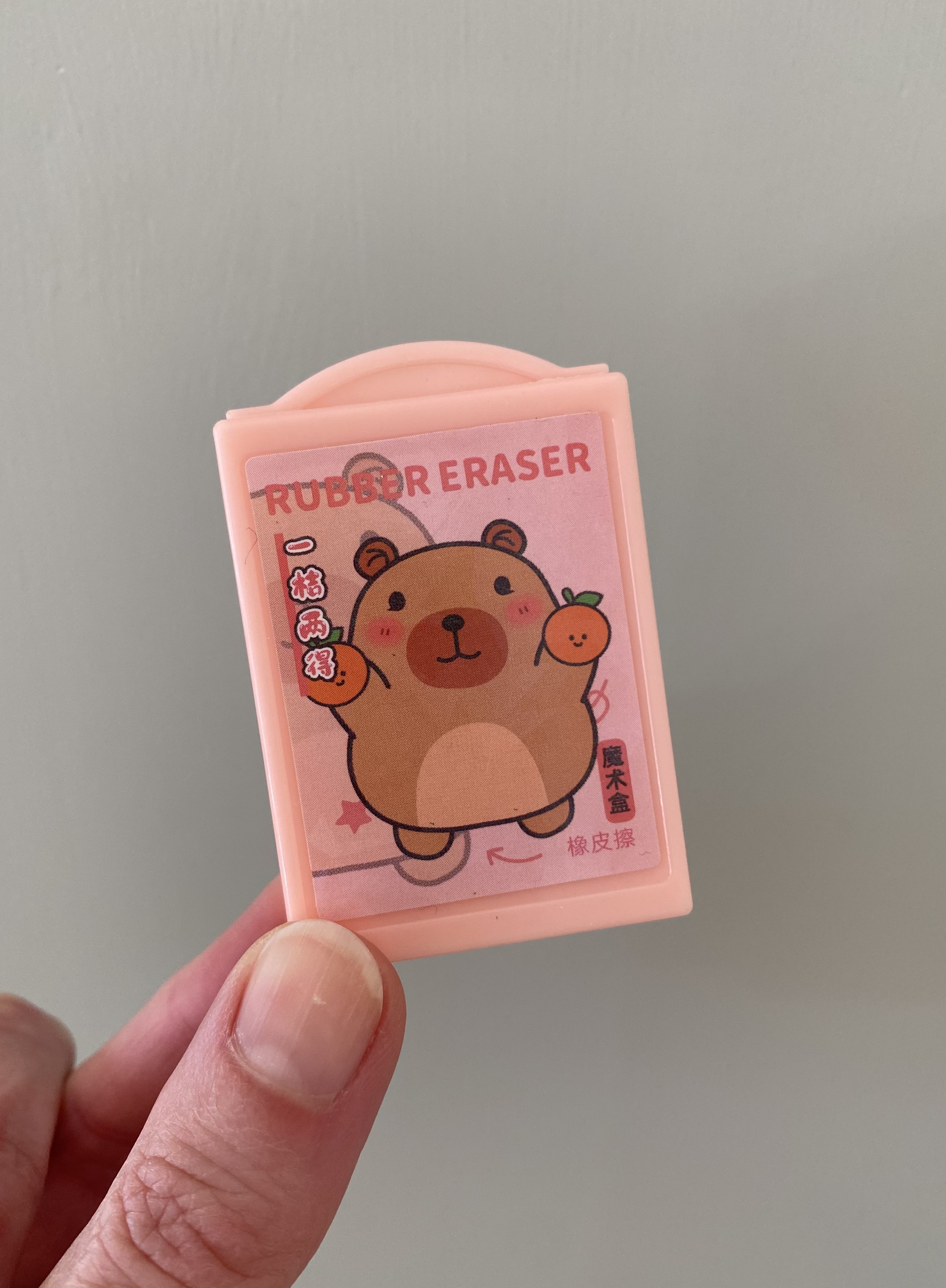 Magische Box mit Radierer rosa Capybara