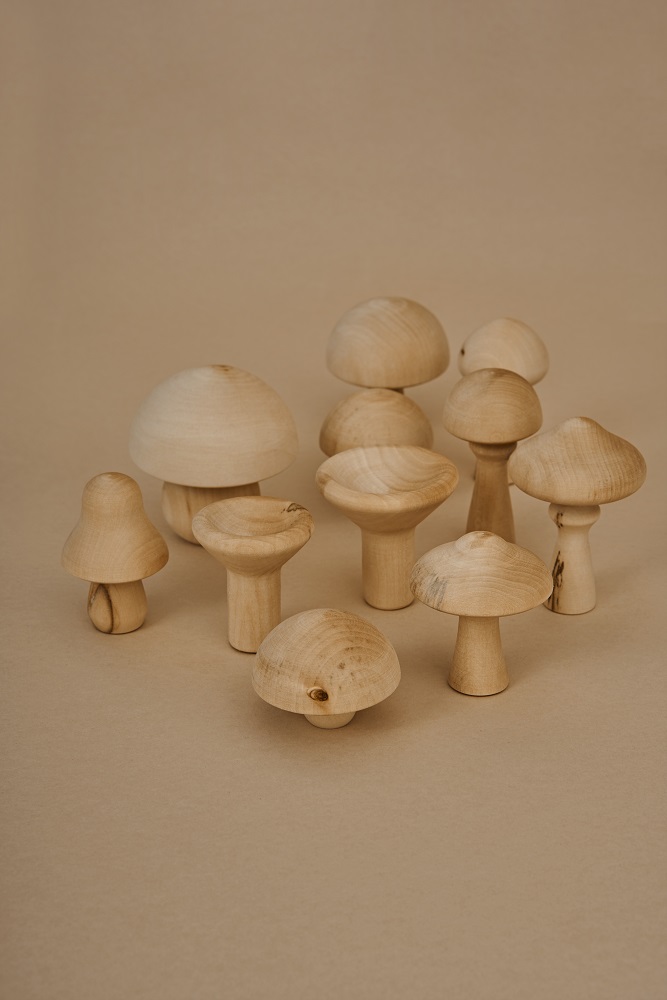 RG00255 Holzpilze, naturfarben, verschiedene Formen und Größen, insgesamt zehn Stück, auf beigem Hintergrund.