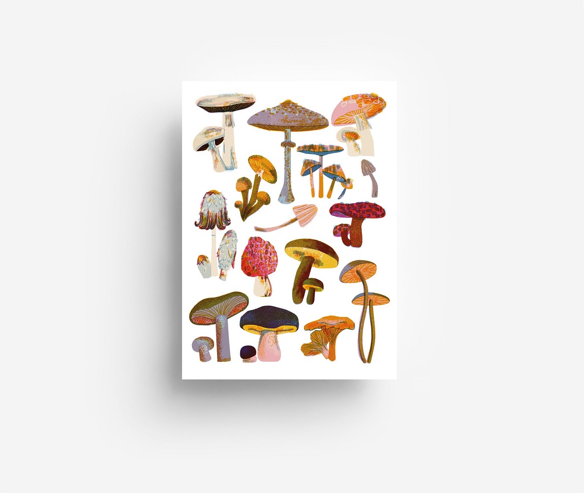 PostcardMushrooms_1024x1024-2x Poster, bunte Pilzillustrationen, verschiedene Formen und Größen, weißer Hintergrund.
